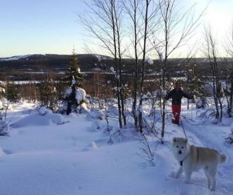 Iso-Syöte, Pudasjärvi