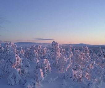 Kaunispää, Inari