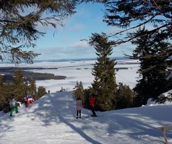 Koli, Lieksa