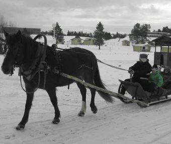 SaniFani, Kalajoki