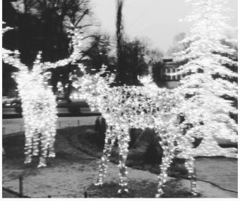 Christmas lights in the Esplanade Park, Helsinki